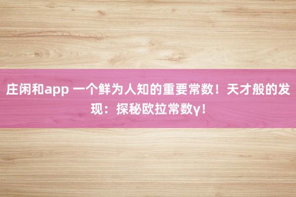 庄闲和app 一个鲜为人知的重要常数！天才般的发现：探秘欧拉常数γ！