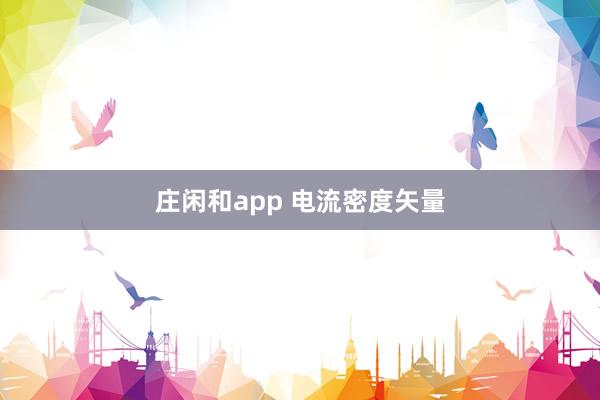 庄闲和app 电流密度矢量