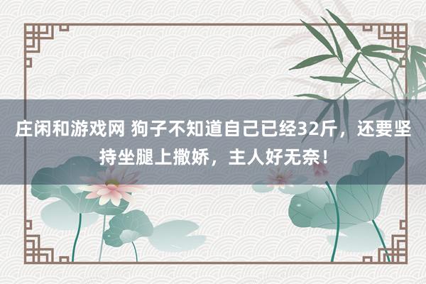 庄闲和游戏网 狗子不知道自己已经32斤，还要坚持坐腿上撒娇，主人好无奈！