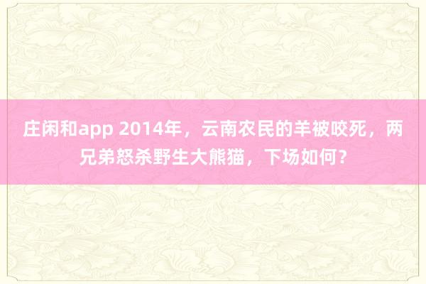 庄闲和app 2014年，云南农民的羊被咬死，两兄弟怒杀野生大熊猫，下场如何？