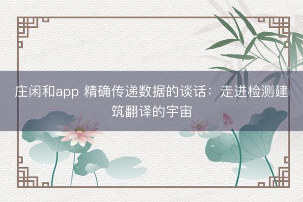 庄闲和app 精确传递数据的谈话:走进检测建筑翻译的宇宙
